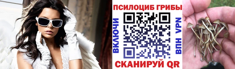 купить наркоту  Псков  Псилоцибиновые грибы Psilocybe 