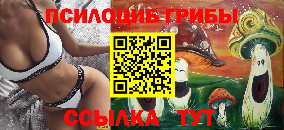 купить закладку  Вход с VPN  Псков  Галлюциногенные грибы Cubensis 